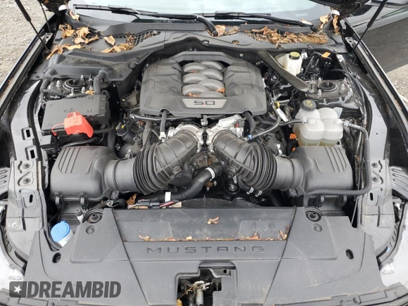 2024 Ford Mustang GT Premium with VIN 1FAGP8FF6R5106317, listed as a Copart auction lot 84027814 with Not provided miles and Salvage title. Bid and sale history available at DreamBid. Image 11.