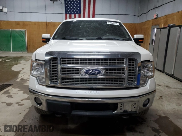 2010 Ford F-150 XL with VIN 1FTFW1EV1AFC96308, listed as a Copart auction lot 61661115 with 226,594 mi miles and Clean title. Bid and sale history available at DreamBid. Image 5.