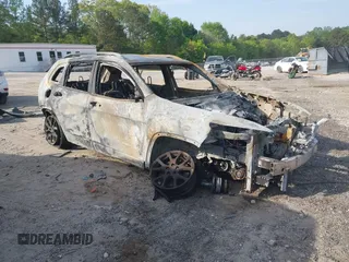 2017 Jeep Cherokee Latitude with VIN 1C4PJLCB9HD219232, listed as a IAAI auction lot 42071956 with Not provided miles and . Bid and sale history available at DreamBid. Image 1.