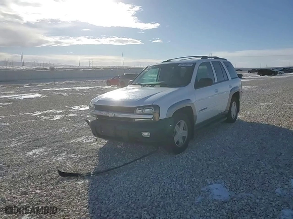 2002 Chevrolet TrailBlazer LTZ with VIN 1GNDT13S622419190, listed as a Copart auction lot 88763035 with 203,480 mi miles and Clean Title. Bid and sale history available at carsss.com. Image 12.