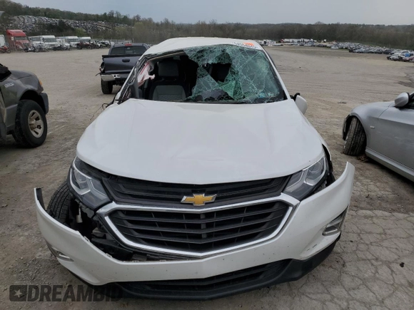 2018 Chevrolet Equinox LT with VIN 2GNAXSEV1J6173929, listed as a Copart auction lot 54554045 with 126,275 mi miles and Salvage Title. Bid and sale history available at carsss.com. Image 5.