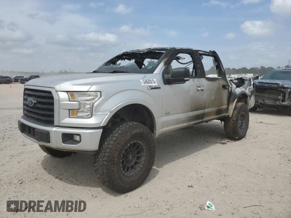 2017 Ford F-150 XL with VIN 1FTEW1CG3HKC81035, listed as a Copart auction lot 53820515 with 0 mi miles and Non Repairable. Bid and sale history available at carsss.com. Image 1.
