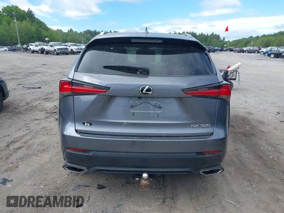 2018 Lexus NX 300 with VIN JTJBARBZ9J2150391, listed as a IAAI auction lot 42290713 with 91,653 mi miles and . Bid and sale history available at DreamBid. Image 15.