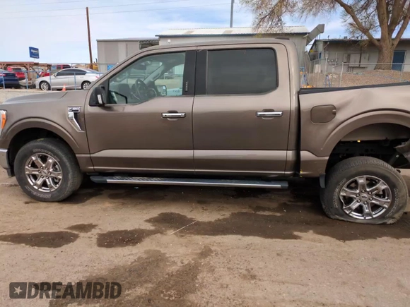 2021 Ford F-150 XL with VIN 1FTFW1E83MFC80304, listed as a Copart auction lot 51306395 with 46,446 mi miles and Salvage Title. Bid and sale history available at carsss.com. Image 14.