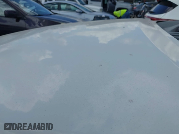 2008 Ford Expedition Eddie Bauer with VIN 1FMFU17578LA77086, listed as a IAAI auction lot 42541488 with 206,013 mi miles and . Bid and sale history available at DreamBid. Image 6.