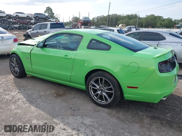 2014 Ford Mustang GT with VIN 1ZVBP8CF5E5308906, listed as a IAAI auction lot 42548581 with 51,075 mi miles and . Bid and sale history available at DreamBid. Image 3.