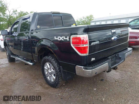 2013 Ford F-150 XL with VIN 1FTFW1ET0DFA03565, listed as a IAAI auction lot 42311111 with 240,000 mi miles and . Bid and sale history available at DreamBid. Image 3.