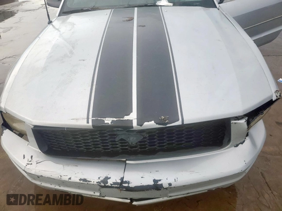 2006 Ford Mustang Standard with VIN 1ZVFT84N265254517, listed as a Copart auction lot 54133895 with 144,151 mi miles and Clean Title. Bid and sale history available at carsss.com. Image 13.