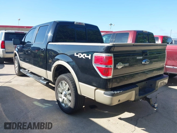 2009 Ford F-150 XL with VIN 1FTPW14V49KB37551, listed as a IAAI auction lot 42613336 with 248,950 mi miles and . Bid and sale history available at DreamBid. Image 3.