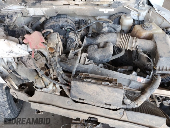 2013 Ford F-150 XL with VIN 1FTMF1CM3DFC12978, listed as a Copart auction lot 43283125 with Not provided miles and Salvage title. Bid and sale history available at DreamBid. Image 11.