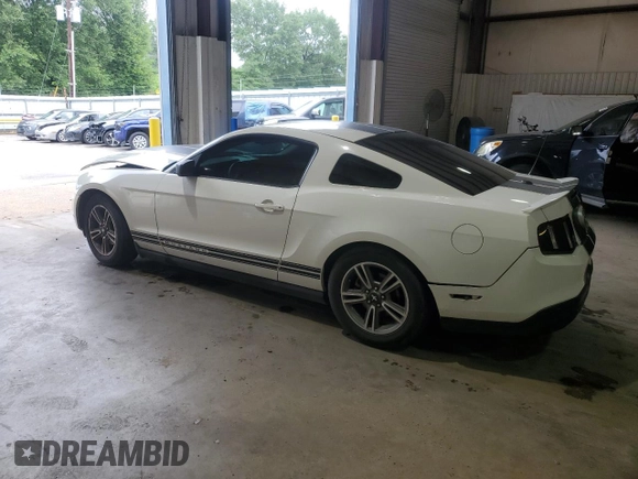 2010 Ford Mustang V6 with VIN 1ZVBP8ANXA5130978, listed as a Copart auction lot 55285385 with 127,633 mi miles and Salvage Title. Bid and sale history available at DreamBid. Image 2.