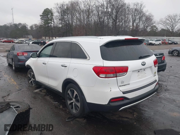 2018 Kia Sorento EX with VIN 5XYPH4A58JG421551, listed as a IAAI auction lot 41551231 with Not Provided miles and . Bid and sale history available at DreamBid. Image 3.