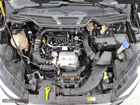 2019 Ford EcoSport SE with VIN MAJ3S2GE8KC299846, listed as a Copart auction lot 46528875 with 117,605 mi miles and Clean Title. Bid and sale history available at carsss.com. Image 11.