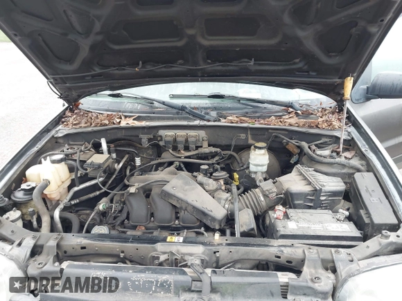 2005 Ford Escape XLT with VIN 1FMYU03145KD73027, listed as a IAAI auction lot 41932192 with Not Provided miles and . Bid and sale history available at DreamBid. Image 10.
