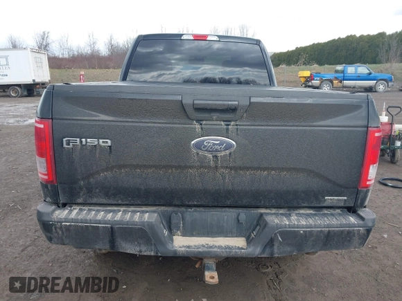 2016 Ford F-150 XLT with VIN 1FTFX1EF5GFC08651, listed as a IAAI auction lot 41898070 with 175,306 mi miles and . Bid and sale history available at carsss.com. Image 16.