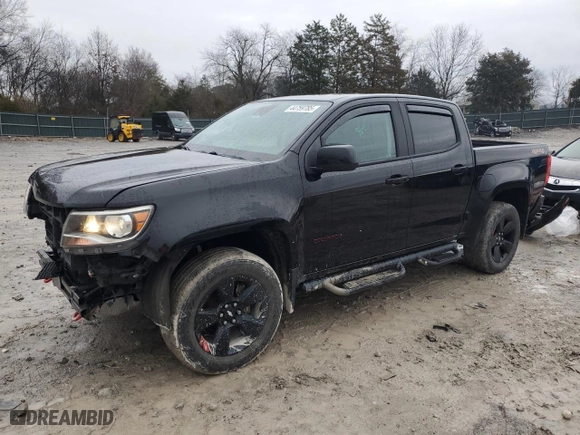 2019 Chevrolet Colorado 4WD LT with VIN 1GCGTCEN5K1127822, listed as a Copart auction lot 44759785 with 67,043 mi miles and Salvage Title. Bid and sale history available at carsss.com. Image 1.