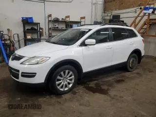 2009 Mazda CX-9 Touring with VIN JM3TB28A490173718, listed as a Copart auction lot 55008985 with 200,441 mi miles and Clean Title. Bid and sale history available at carsss.com. Image 1.
