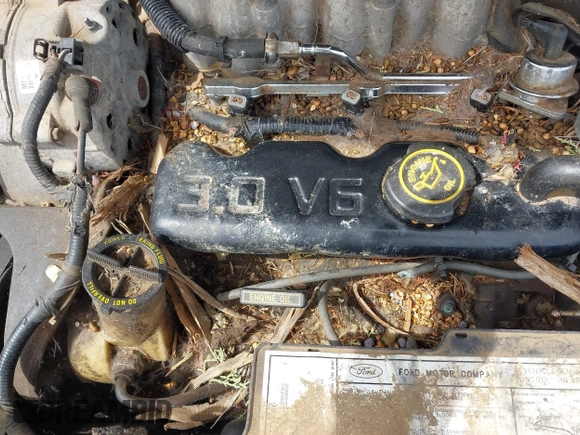 1989 Ford Taurus GL z VIN 1FABP52U9KA278657, wystawiony jako IAAI lot #42349469 z przebiegiem 10 782 mil mil oraz . Historia ofert i sprzedaży dostępna na DreamBid. Obrazek 6.