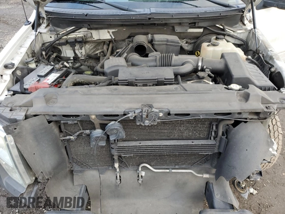 2009 Ford F-150 XL with VIN 1FTPF12V89KA70911, listed as a Copart auction lot 46358075 with 209,017 mi miles and Salvage Title. Bid and sale history available at carsss.com. Image 11.