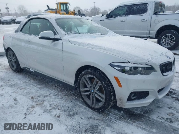 2018 BMW 2 Series 230i xDrive with VIN WBA2K1C52JVB64595, listed as a IAAI auction lot 41604748 with 47,461 mi miles and . Bid and sale history available at DreamBid. Image 1.