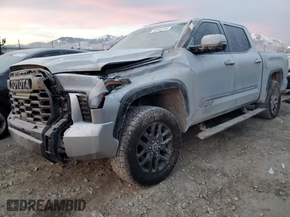 2023 Toyota Tundra Platinum with VIN 5TFNA5DB9PX128945, listed as a Copart auction lot 83960764 with Not provided miles and Salvage title. Bid and sale history available at DreamBid. Image 1.