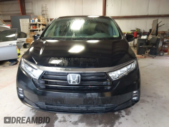 2024 Honda Odyssey EX-L with VIN 5FNRL6H65RB018633, listed as a IAAI auction lot 41801512 with 22,103 mi miles and . Bid and sale history available at DreamBid. Image 13.