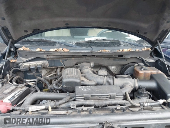 2009 Ford F-150 XL with VIN 1FTPX14V99FA81063, listed as a IAAI auction lot 40769810 with 238,472 mi miles. Bid and sale history available at carsss.com. Image 10.