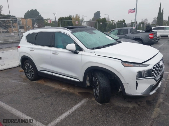 2021 Hyundai Santa Fe Limited with VIN 5NMS44AL5MH315413, listed as a IAAI auction lot 41205405 with 60,677 mi miles. Bid and sale history available at carsss.com. Image 13.
