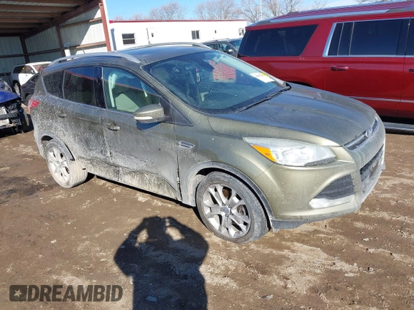 2014 Ford Escape Titanium with VIN 1FMCU9J96EUA15990, listed as a IAAI auction lot 41667046 with 203,202 mi miles. Bid and sale history available at carsss.com. Image 1.