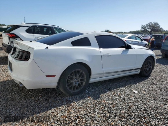 2014 Ford Mustang V6 with VIN 1ZVBP8AM1E5319001, listed as a Copart auction lot 49256535 with 170,655 mi miles and Salvage Title. Bid and sale history available at carsss.com. Image 3.