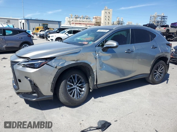 2024 Lexus NX 250 with VIN 2T2ADCAZ5RC010237, listed as a Copart auction lot 49515495 with 28,581 mi miles and Salvage title. Bid and sale history available at DreamBid. Image 1.