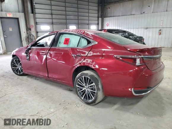 2024 Lexus ES 300h with VIN 58ADA1C15RU039931, listed as a Copart auction lot 50081195 with Not provided miles and Salvage title. Bid and sale history available at DreamBid. Image 2.