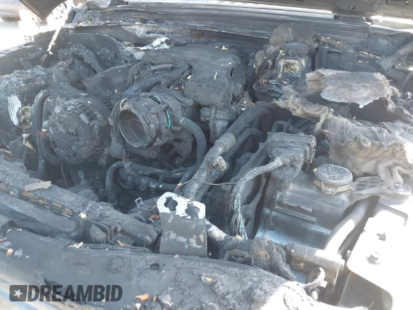 2019 Jeep Wrangler Unlimited Sport S with VIN 1C4HJXDG2KW558562, listed as a IAAI auction lot 42100717 with Not provided miles and . Bid and sale history available at DreamBid. Image 6.