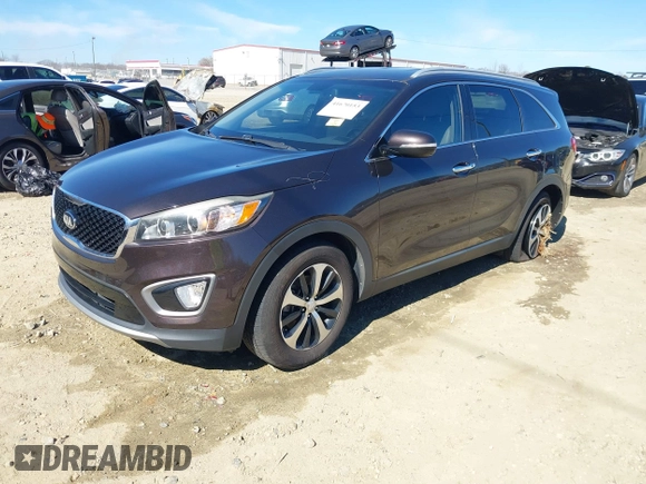 2016 Kia Sorento EX with VIN 5XYPH4A50GG043914, listed as a IAAI auction lot 41670153 with 113,121 mi miles. Bid and sale history available at carsss.com. Image 17.