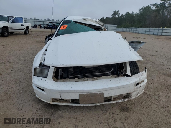 2006 Ford Mustang GT Deluxe with VIN 1ZVHT82H665248483, listed as a Copart auction lot 43163155 with 0 mi miles and Salvage Title. Bid and sale history available at carsss.com. Image 5.