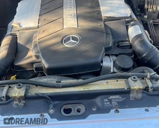 2002 Mercedes-Benz G 500 with VIN WDCYR49EX2X128555, listed as a Copart auction lot 55605995 with 225,042 mi miles and Salvage Title. Bid and sale history available at DreamBid. Image 7.