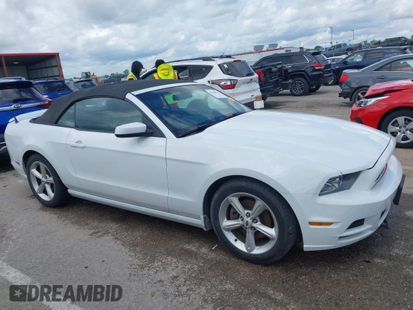 2014 Ford Mustang V6 with VIN 1ZVBP8EM2E5220391, listed as a IAAI auction lot 42160616 with 178,080 mi miles and . Bid and sale history available at DreamBid. Image 13.