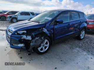 2014 Ford Escape SE with VIN 1FMCU0GX3EUC52325, listed as a Copart auction lot 46494755 with 147,165 mi miles and Salvage Title. Bid and sale history available at DreamBid. Image 1.