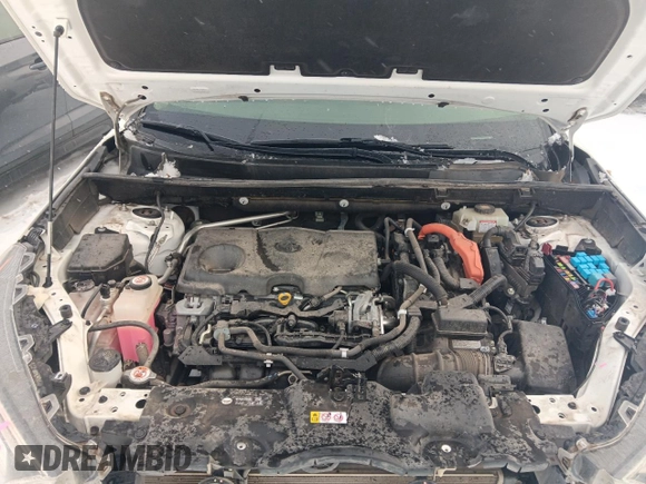 2019 Toyota RAV4 Hybrid XLE with VIN JTMRWRFV8KD004029, listed as a Copart auction lot 48261625 with 0 mi miles and Salvage Title. Bid and sale history available at carsss.com. Image 11.