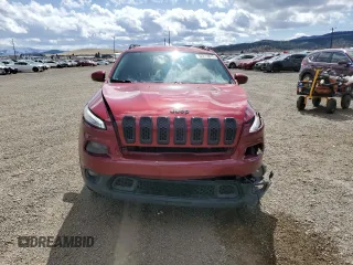 2016 Jeep Cherokee Limited with VIN 1C4PJMDS8GW354225, listed as a Copart auction lot 52213875 with 87,276 mi miles and Salvage title. Bid and sale history available at DreamBid. Image 5.