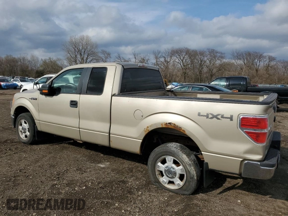 2009 Ford F-150 XL with VIN 1FTPX14V69FA21581, listed as a Copart auction lot 51486855 with 220,335 mi miles and Clean Title. Bid and sale history available at carsss.com. Image 2.