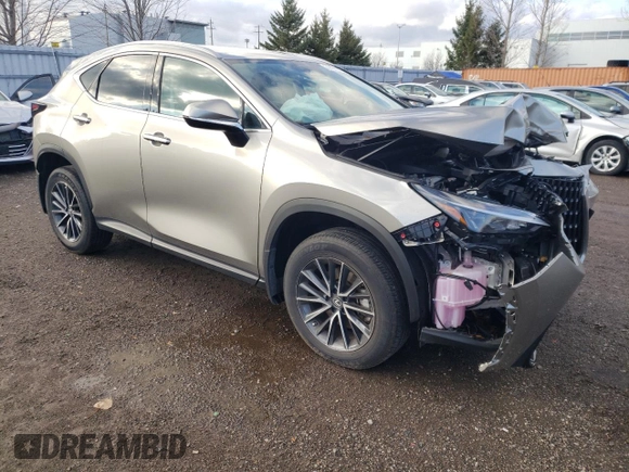 2022 Lexus NX with VIN 2T2ADCEZ0NC001885, listed as a Copart auction lot 74491073 with 17,433 mi miles. Bid and sale history available at carsss.com. Image 4.