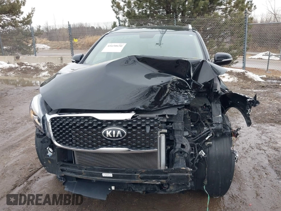 2018 Kia Sorento LX V6 with VIN 5XYPGDA5XJG419416, listed as a IAAI auction lot 41650650 with 95,897 mi miles. Bid and sale history available at carsss.com. Image 17.