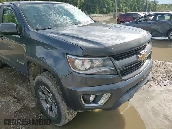 2017 Chevrolet Colorado 2WD Z71 with VIN 1GCGSDEN4H1189441, listed as a Copart auction lot 64488555 with 54,240 mi miles and Salvage title. Bid and sale history available at DreamBid. Image 13.