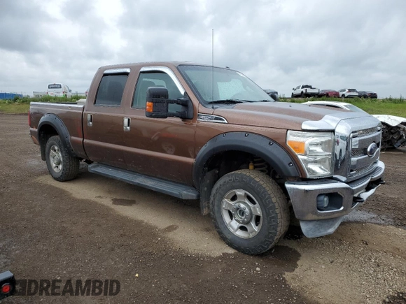 2011 Ford F-250 XL with VIN 1FT7W2B69BEC99908, listed as a Copart auction lot 61919585 with 410,259 mi miles and Salvage title. Bid and sale history available at DreamBid. Image 4.
