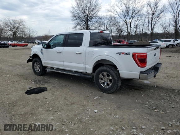 2021 Ford F-150 XL with VIN 1FTFW1E57MFA70391, listed as a Copart auction lot 50813215 with 97,790 mi miles and Salvage Title. Bid and sale history available at carsss.com. Image 2.