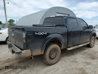 2009 Ford F-150 XL with VIN 1FTPW14V69FB18458, listed as a Copart auction lot 55684195 with 338,034 mi miles and Salvage title. Bid and sale history available at DreamBid. Image 3.