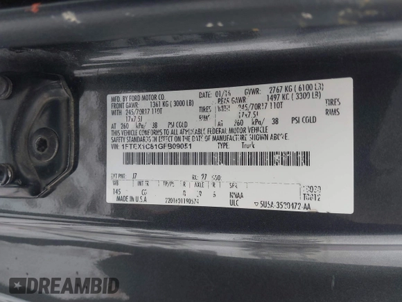 2016 Ford F-150 XL с VIN 1FTEX1C81GFB09051, выставлен на аукционе IAAI как лот 41300134 с пробегом 232 746 миль миль и . История ставок и продаж доступна на DreamBid. Изображение 9.