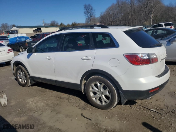 2011 Mazda CX-9 Touring with VIN JM3TB2CAXB0316670, listed as a Copart auction lot 42853135 with 175,366 mi miles and Clean Title. Bid and sale history available at carsss.com. Image 2.