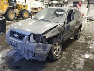 2006 Ford Escape XLT with VIN 1FMYU03196KD54507, listed as a Copart auction lot 41646205 with 208,069 mi miles and Salvage Title. Bid and sale history available at carsss.com. Image 1.